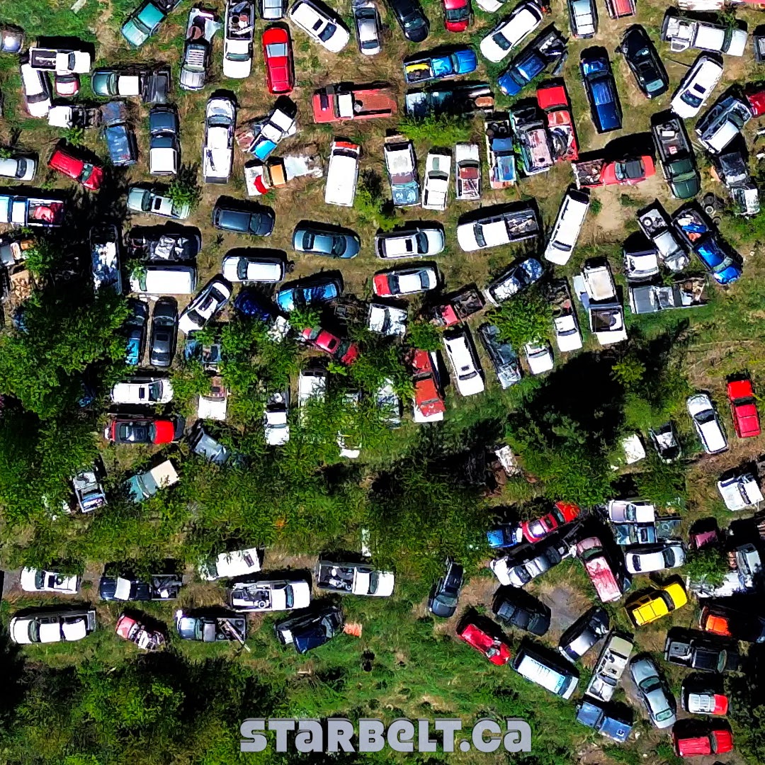 automobile graveyard