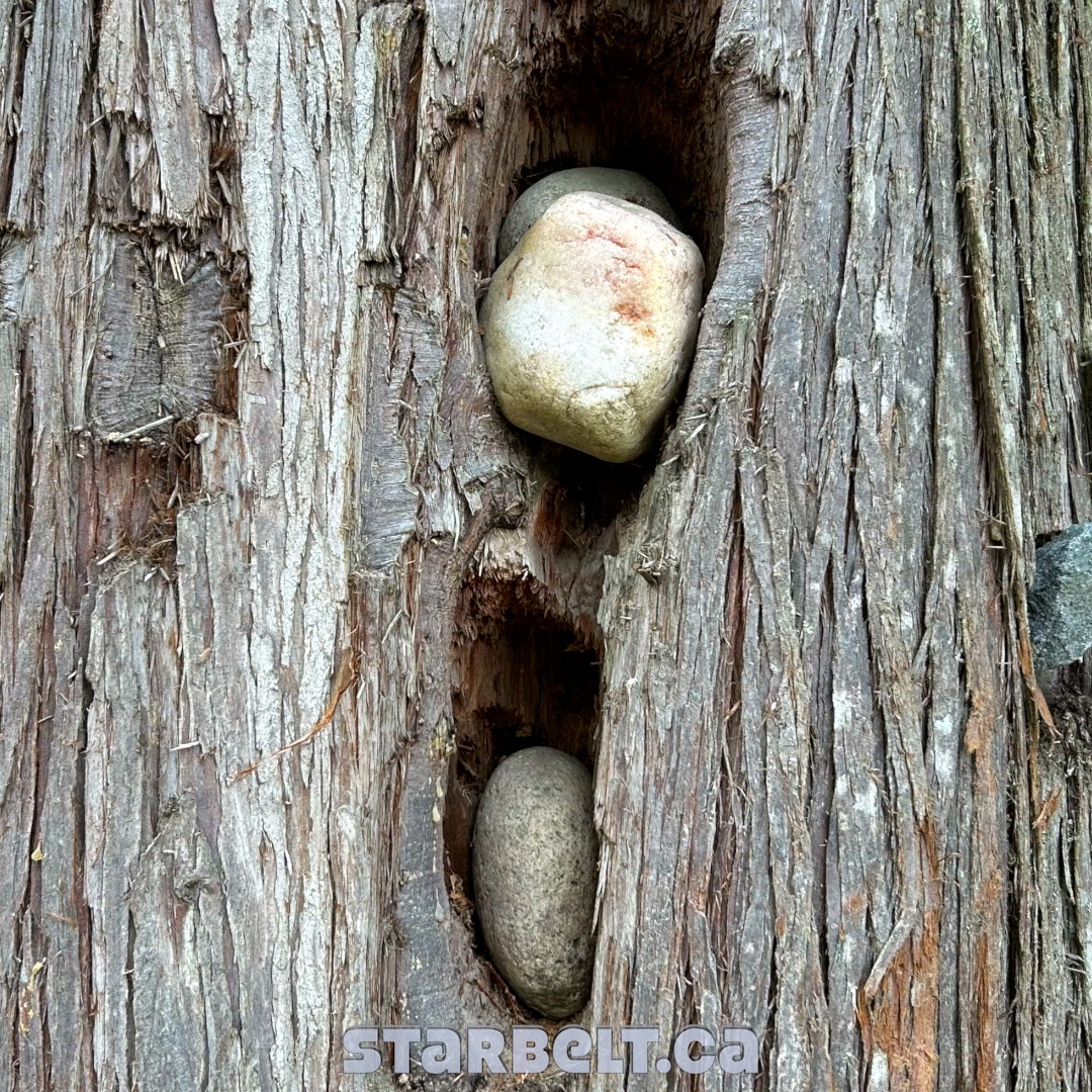 cedar stone stash