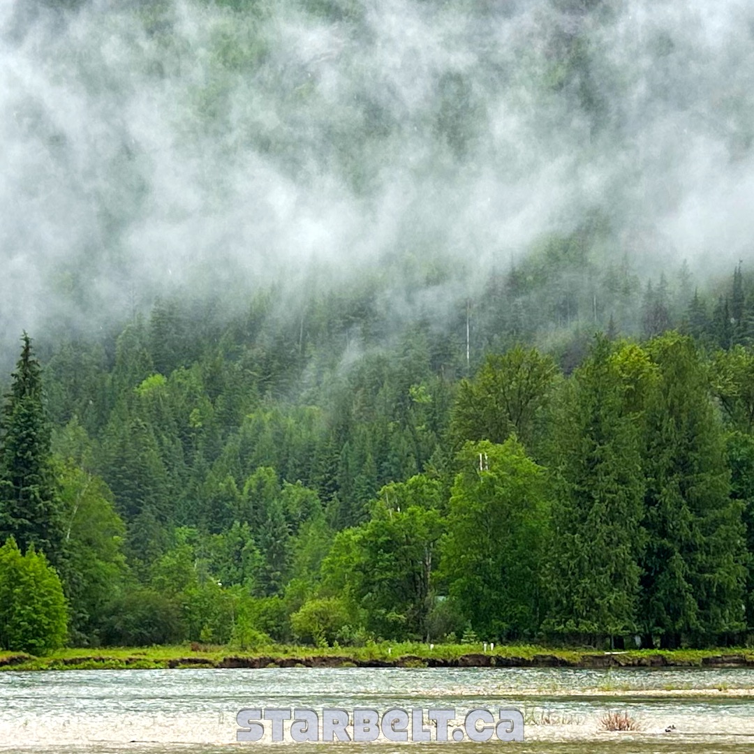 rainforest mist