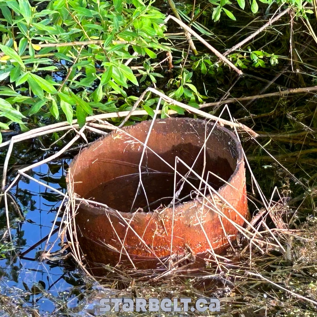 rusty swamp pipe